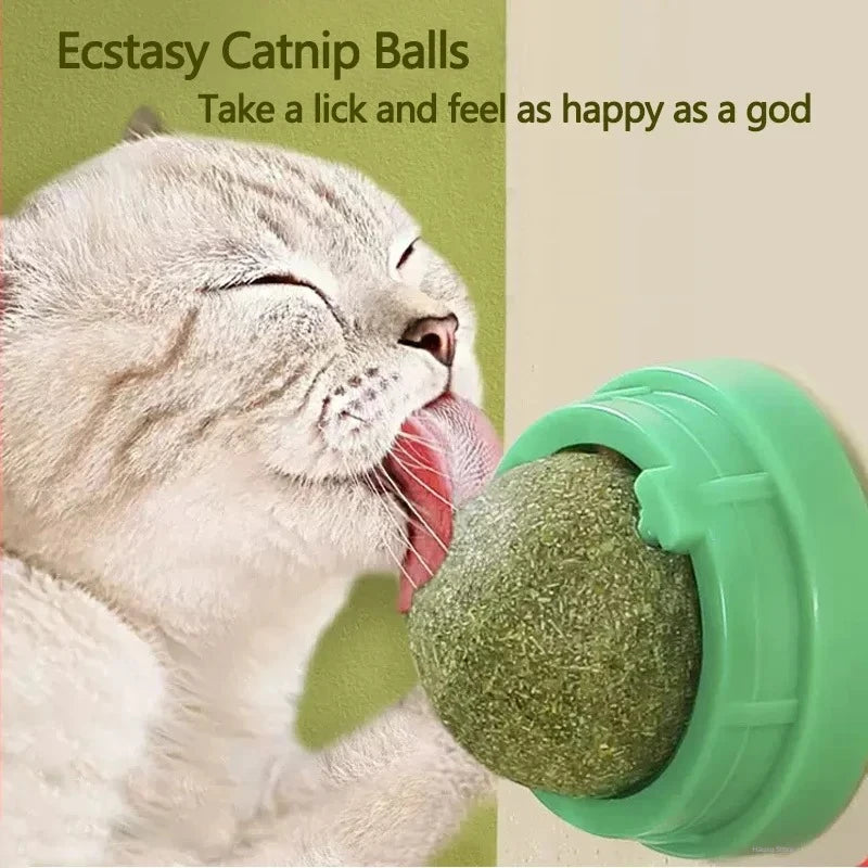 Natural Catnip Wall-Mounted Scratching Ball – Therapeutic & Healthy Cat Toy