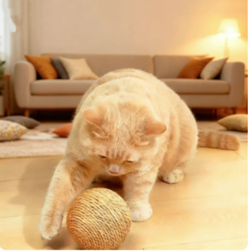 Interactive Sisal Cat Scratching Ball Toy – Teething & Teeth Cleaning with Sound