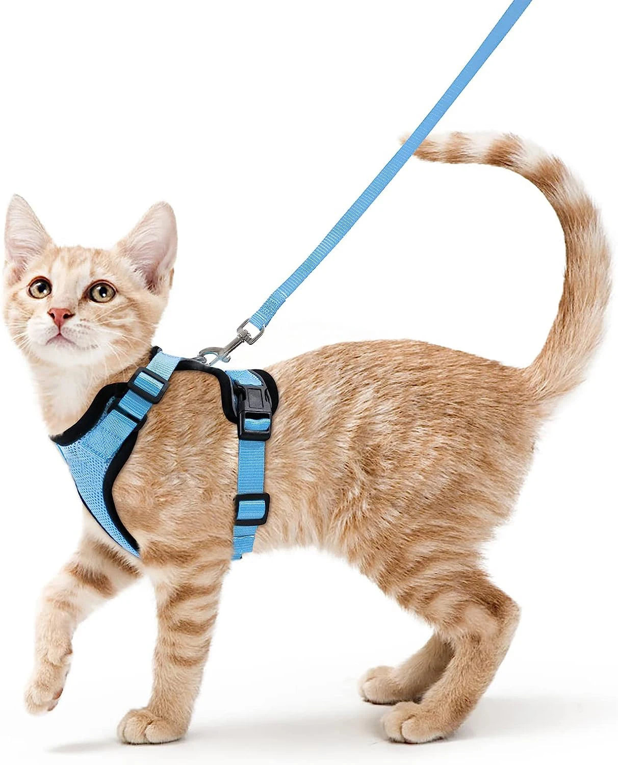 Comfort-Fit Cat Harness & Leash Set — Escape-Proof, Adjustable, and Breathable Walking Kit