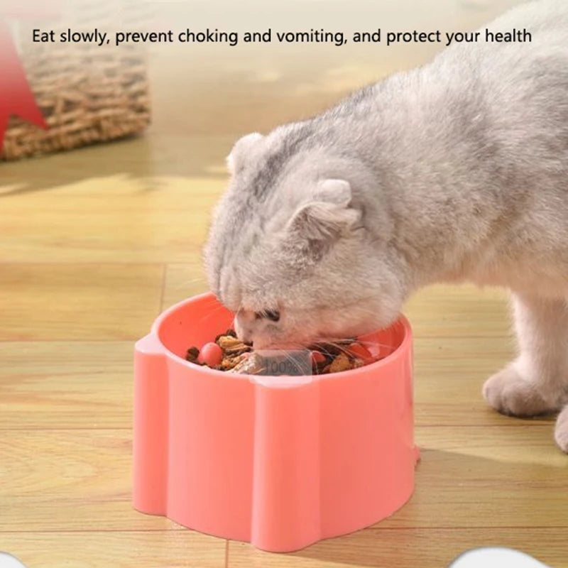 Slow Feeder Bowl for Cats – Healthy, Fun & Mess-Free Mealtime 🐾