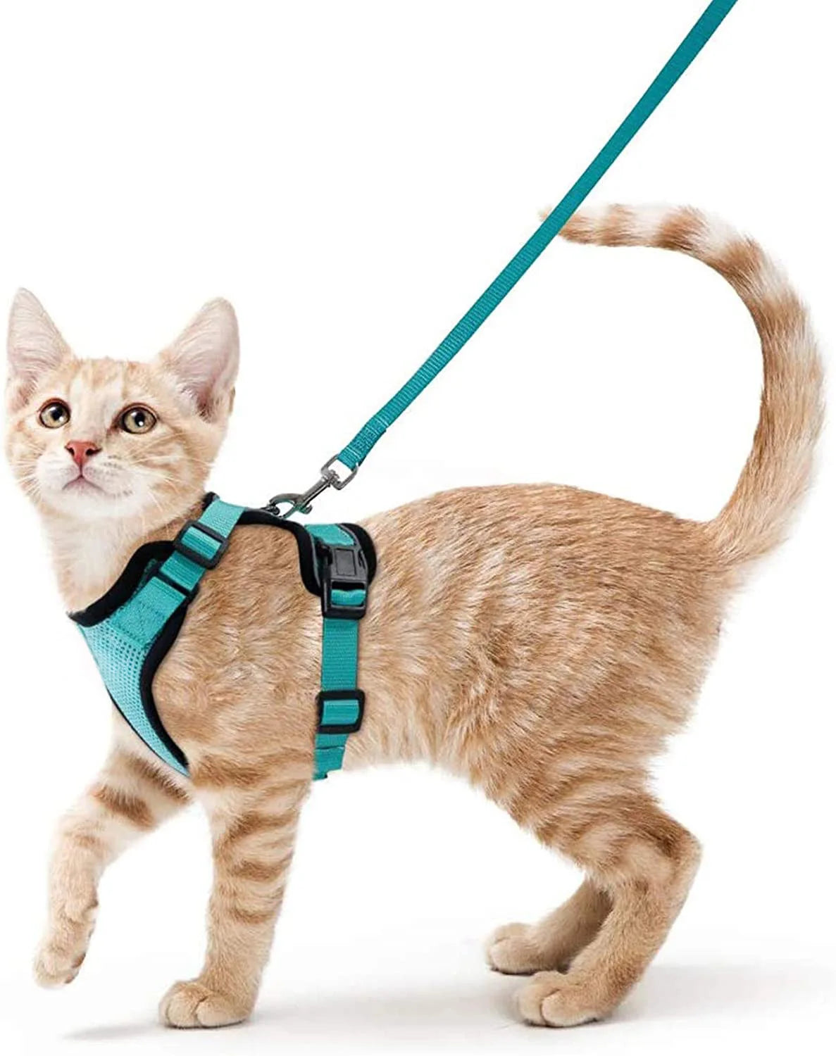 Comfort-Fit Cat Harness & Leash Set — Escape-Proof, Adjustable, and Breathable Walking Kit