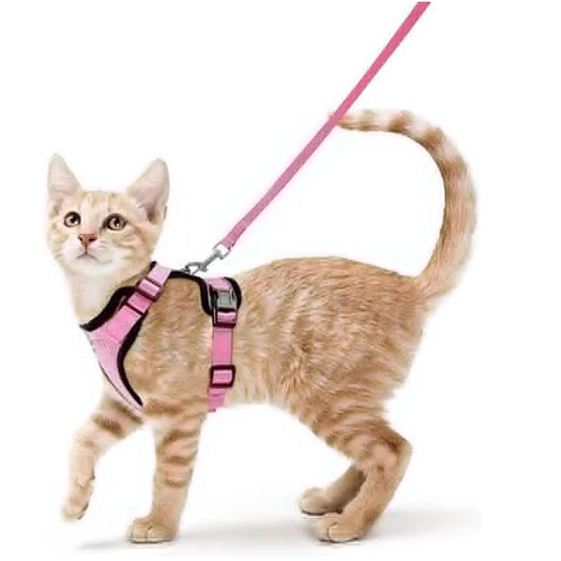 Comfort-Fit Cat Harness & Leash Set — Escape-Proof, Adjustable, and Breathable Walking Kit