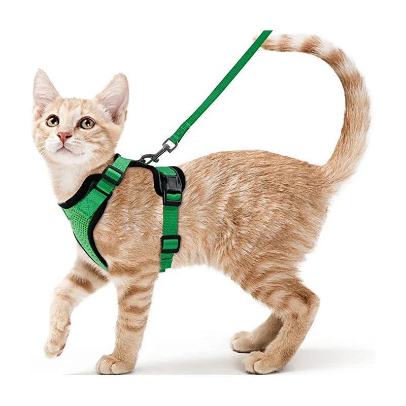 Comfort-Fit Cat Harness & Leash Set — Escape-Proof, Adjustable, and Breathable Walking Kit