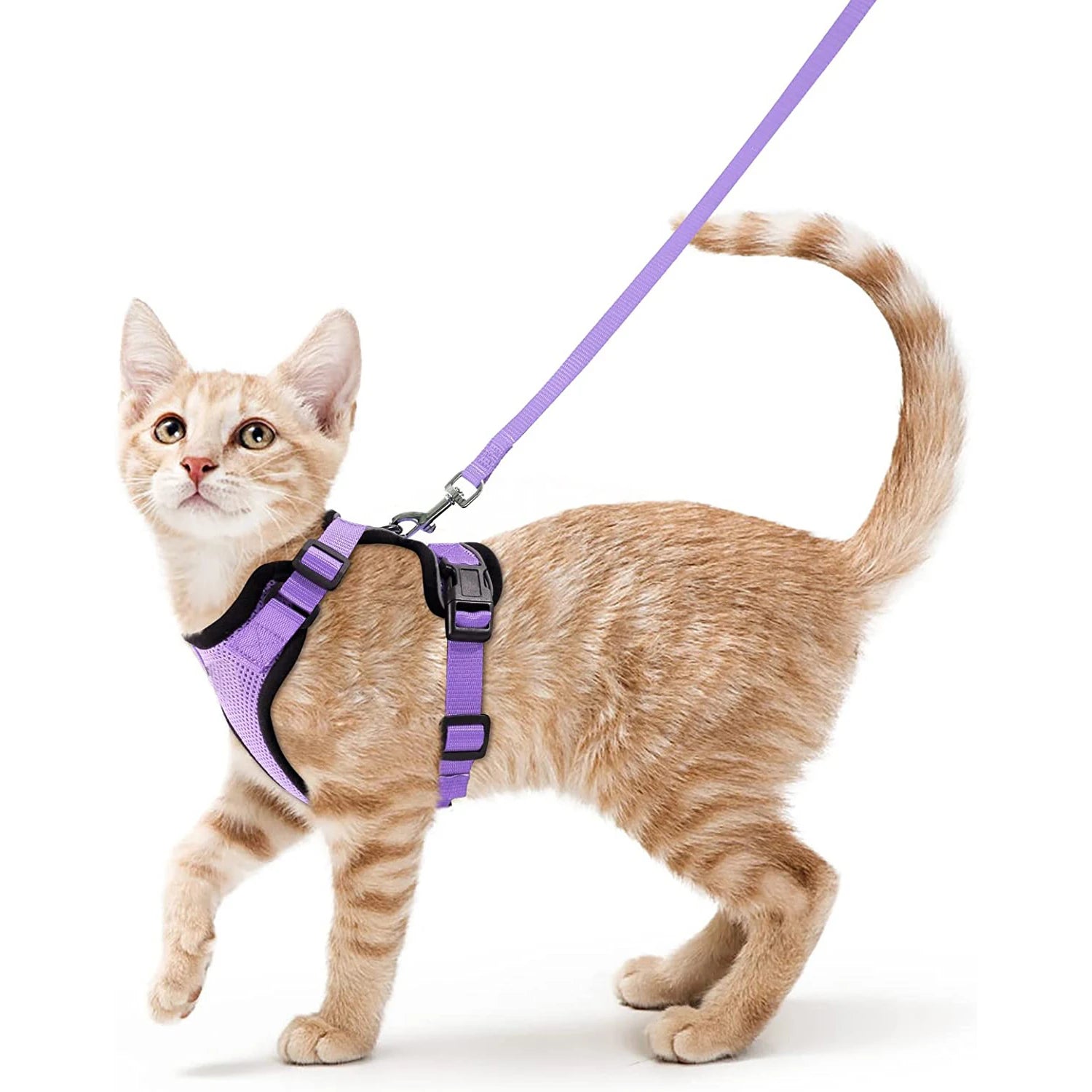 Comfort-Fit Cat Harness & Leash Set — Escape-Proof, Adjustable, and Breathable Walking Kit