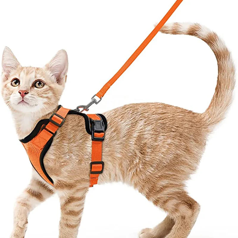 Comfort-Fit Cat Harness & Leash Set — Escape-Proof, Adjustable, and Breathable Walking Kit