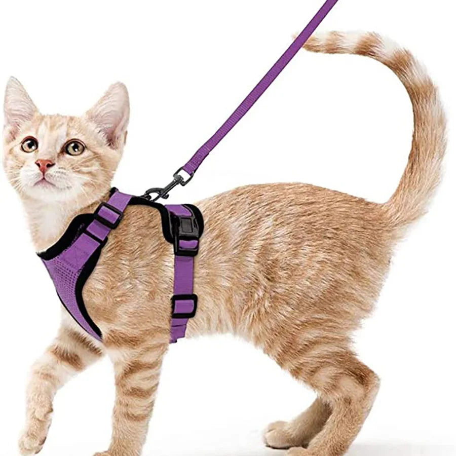 Comfort-Fit Cat Harness & Leash Set — Escape-Proof, Adjustable, and Breathable Walking Kit