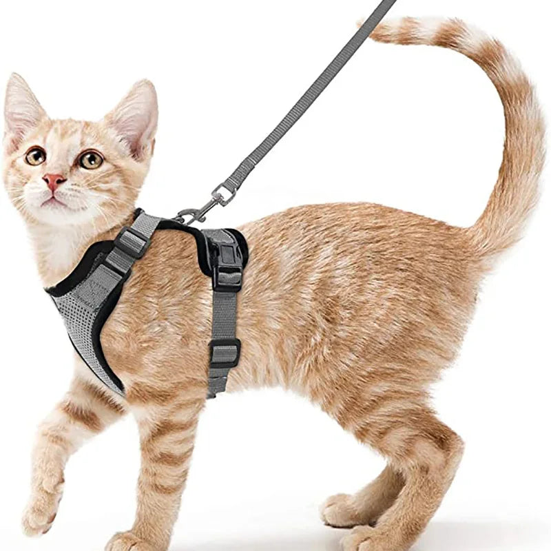 Comfort-Fit Cat Harness & Leash Set — Escape-Proof, Adjustable, and Breathable Walking Kit