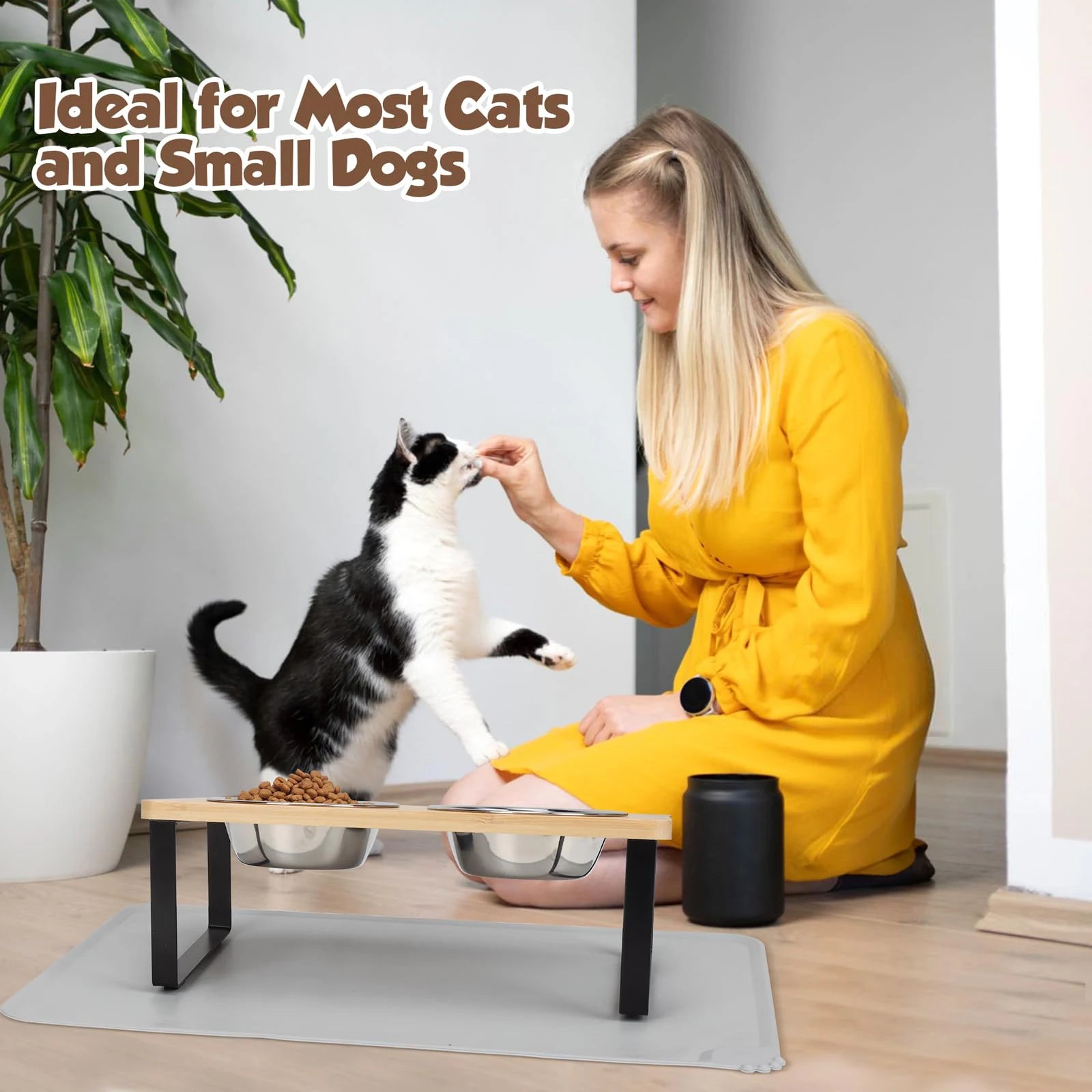 Double Bowl Feeder with Raised Stand – Comfortable & Healthy Eating for Cats