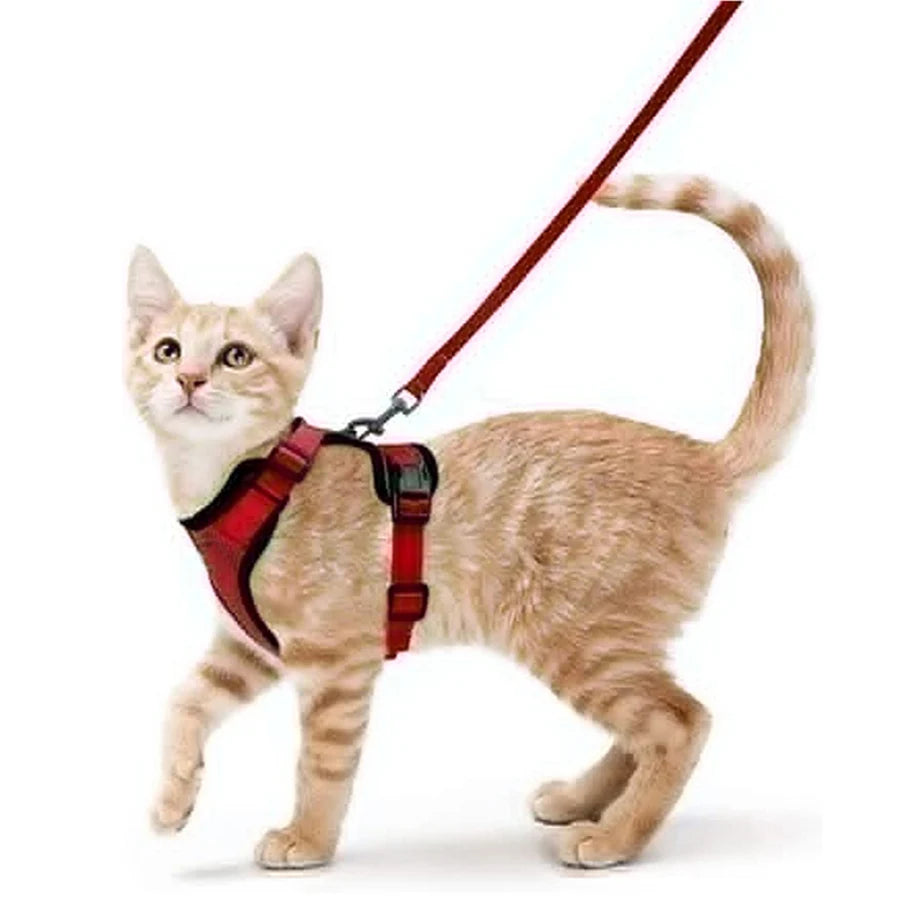 Comfort-Fit Cat Harness & Leash Set — Escape-Proof, Adjustable, and Breathable Walking Kit