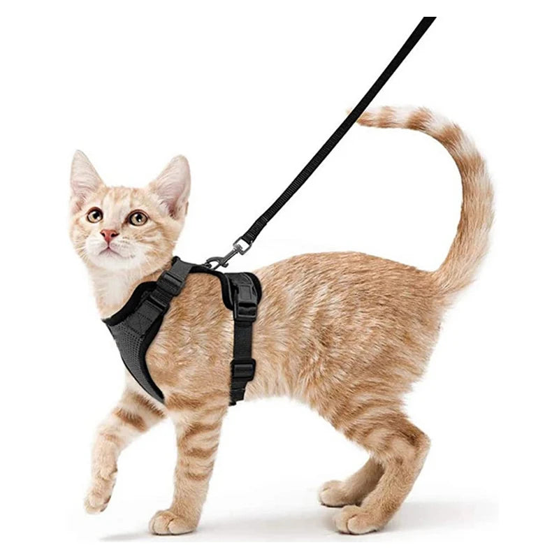 Comfort-Fit Cat Harness & Leash Set — Escape-Proof, Adjustable, and Breathable Walking Kit