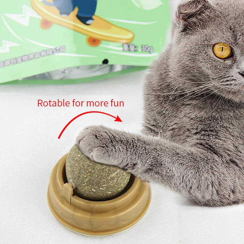 Natural Catnip Wall-Mounted Scratching Ball – Therapeutic & Healthy Cat Toy