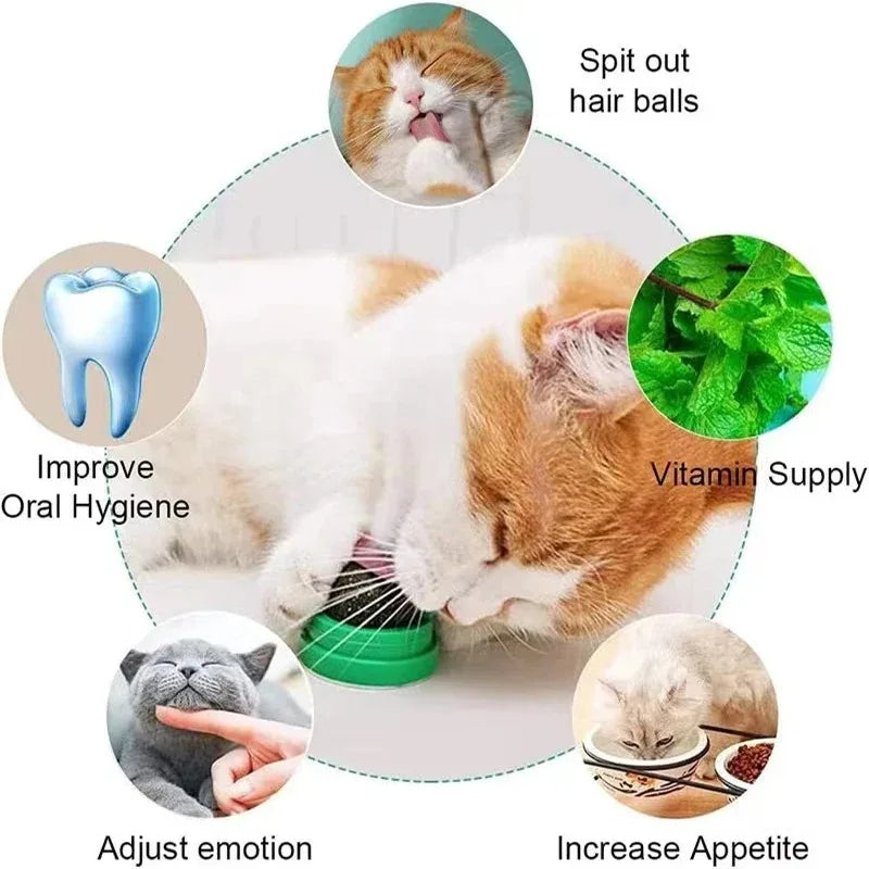 Natural Catnip Wall-Mounted Scratching Ball – Therapeutic & Healthy Cat Toy